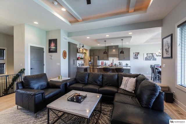 living room featuring light hardwood / wood-style flooring and a raised ceiling