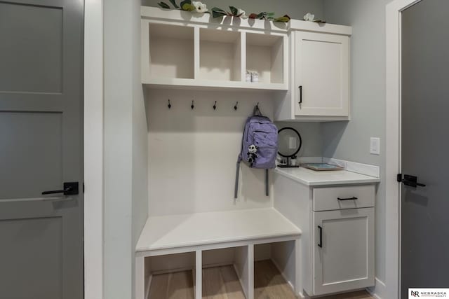 mudroom with wood-type flooring