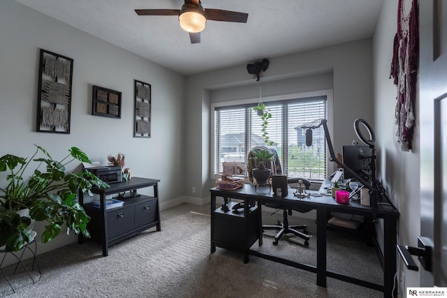 office area featuring carpet flooring and ceiling fan