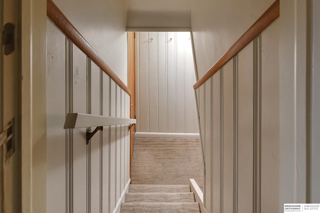 staircase with carpet flooring