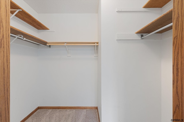 spacious closet featuring carpet floors