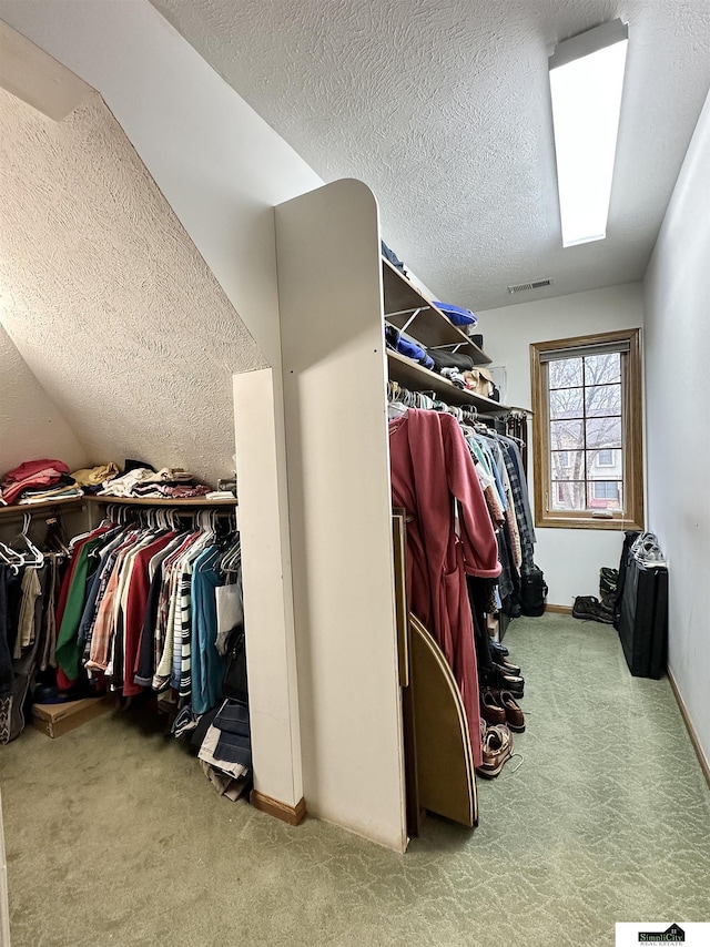 spacious closet with light carpet