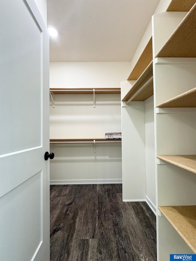 spacious closet featuring dark hardwood / wood-style flooring