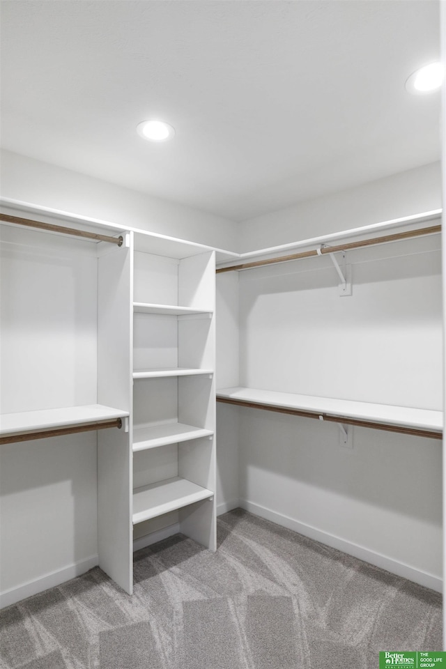 spacious closet with light colored carpet