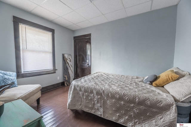 bedroom with a drop ceiling and dark hardwood / wood-style floors