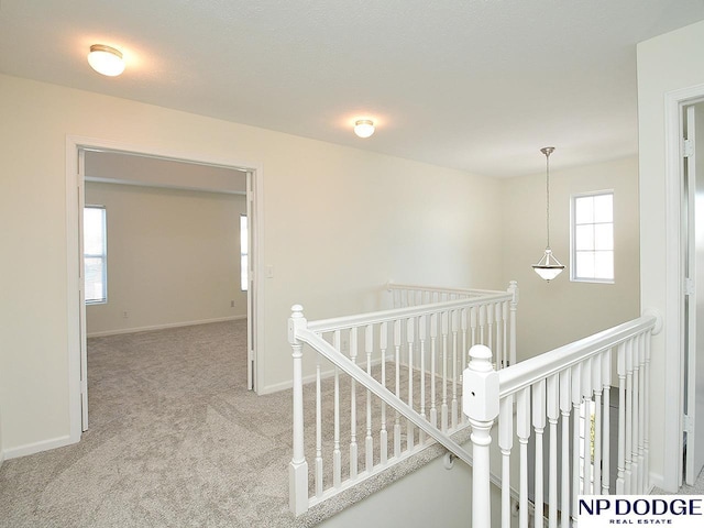 hallway featuring a wealth of natural light and light carpet