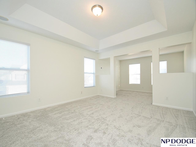 unfurnished room featuring a raised ceiling and light colored carpet