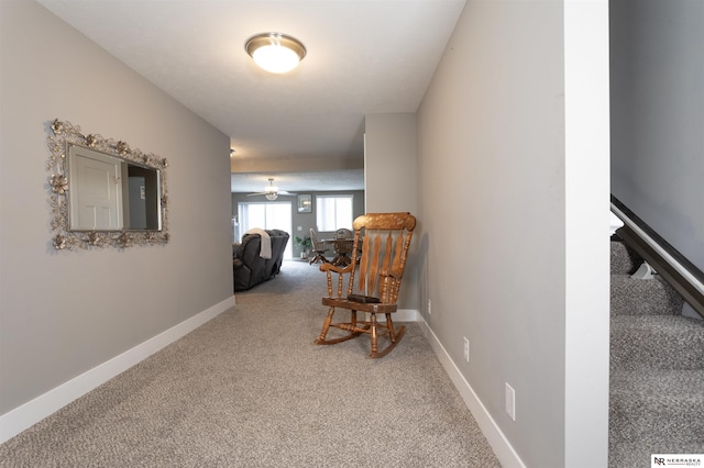 hallway featuring carpet