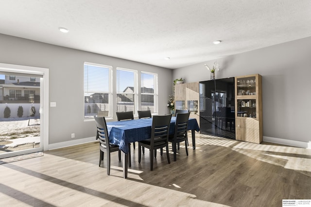 dining space featuring hardwood / wood-style floors and a textured ceiling