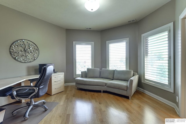 office space featuring light hardwood / wood-style floors and a wealth of natural light