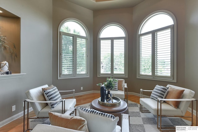 sitting room featuring light hardwood / wood-style flooring and plenty of natural light