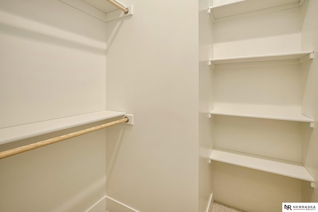 spacious closet featuring carpet floors