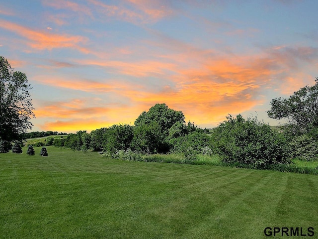 view of yard at dusk