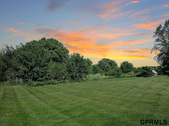 view of yard at dusk