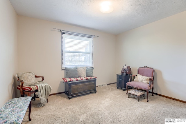 living area featuring a textured ceiling and light carpet