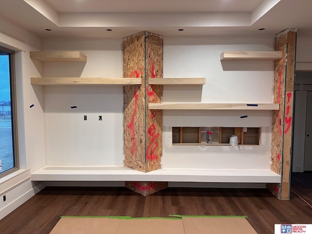 mudroom with dark wood-type flooring