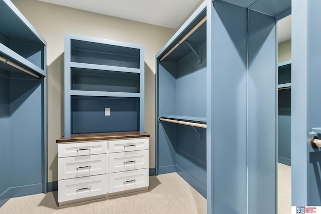 spacious closet with light carpet