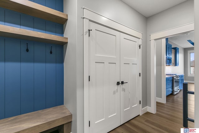 mudroom featuring dark wood-type flooring