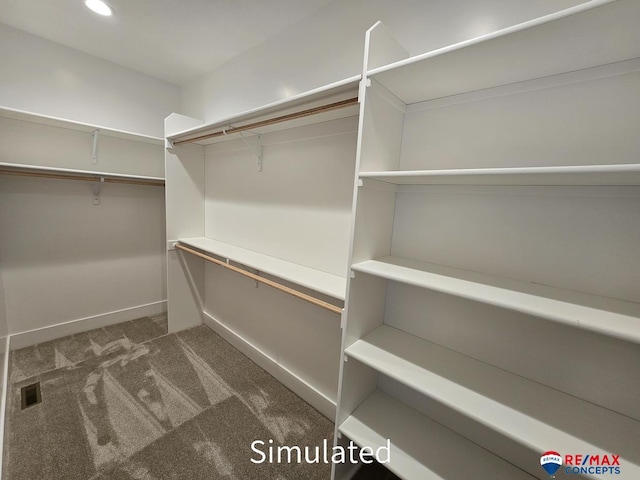 walk in closet featuring dark colored carpet