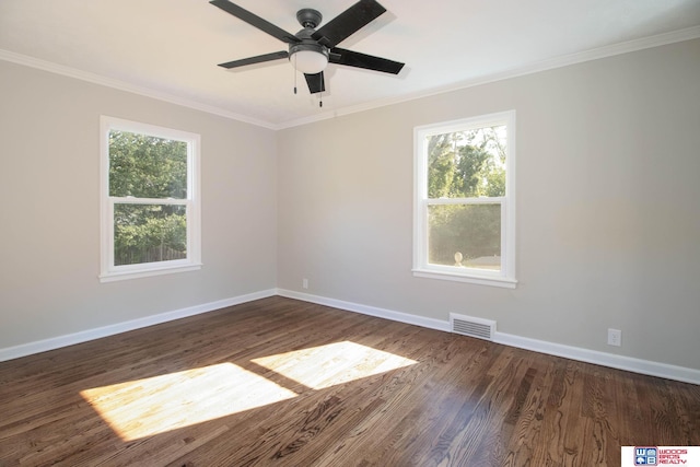 spare room with dark hardwood / wood-style floors, ornamental molding, and a wealth of natural light