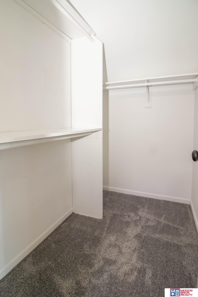 spacious closet with dark carpet