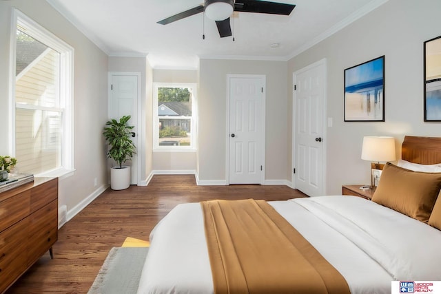 bedroom featuring dark hardwood / wood-style floors, ceiling fan, and ornamental molding