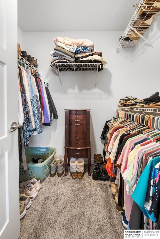 walk in closet with carpet floors