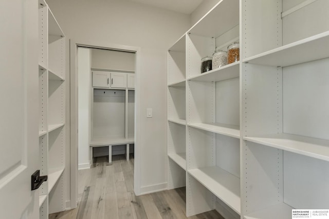 spacious closet with light wood-type flooring