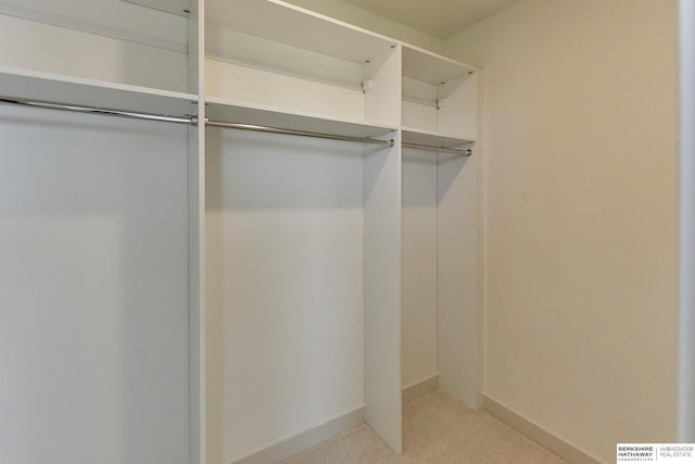 walk in closet with light colored carpet