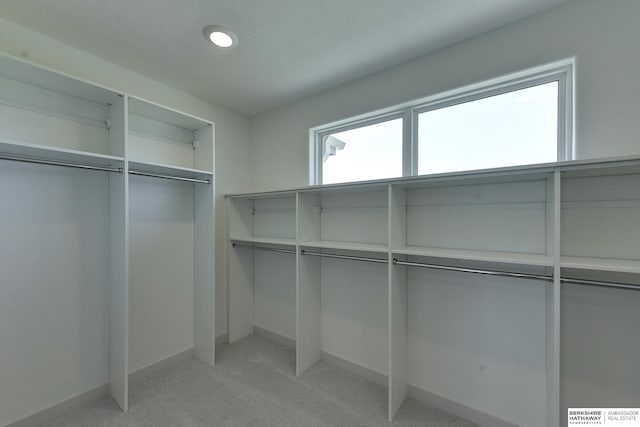 spacious closet featuring light carpet