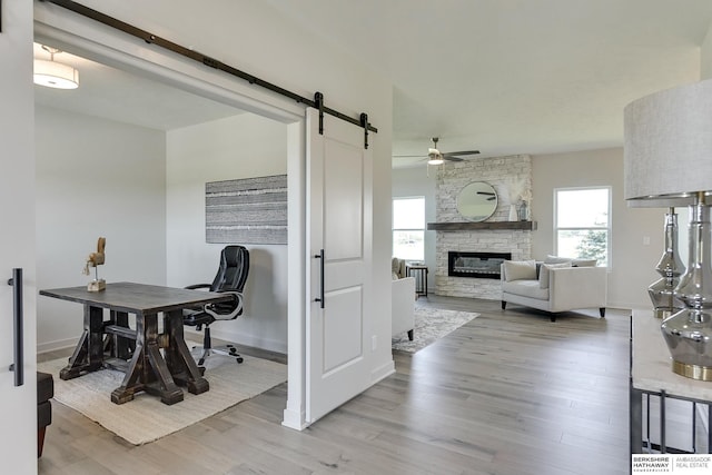 dining area featuring ceiling fan, light wood-type flooring, a fireplace, and a wealth of natural light