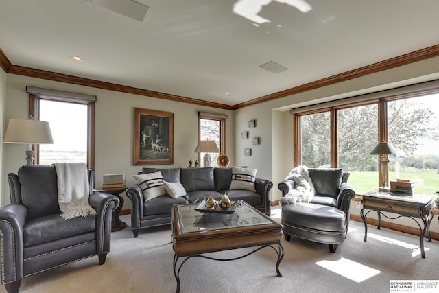 carpeted living room with plenty of natural light and crown molding