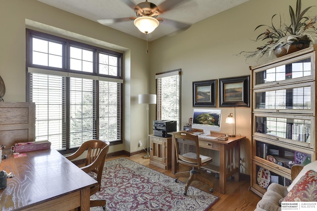 office featuring ceiling fan and light wood-type flooring