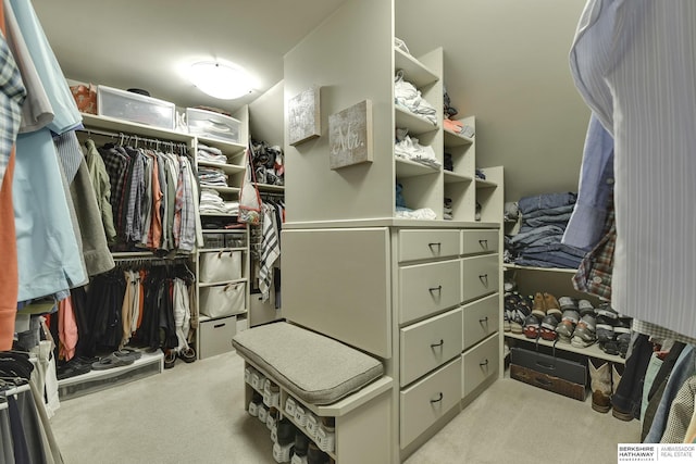 spacious closet featuring light colored carpet