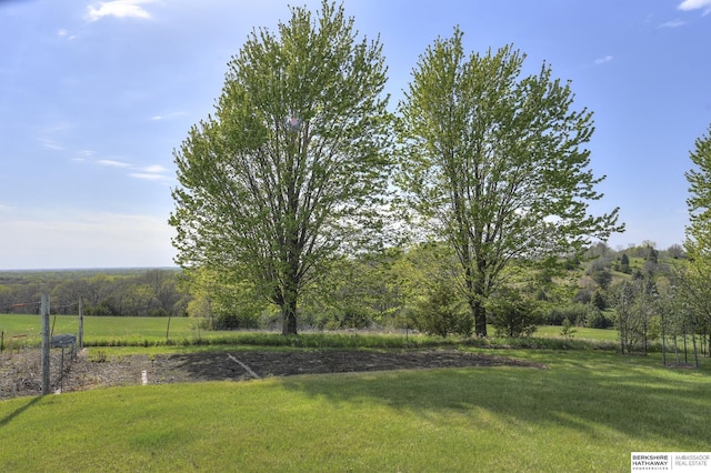 view of yard with a rural view