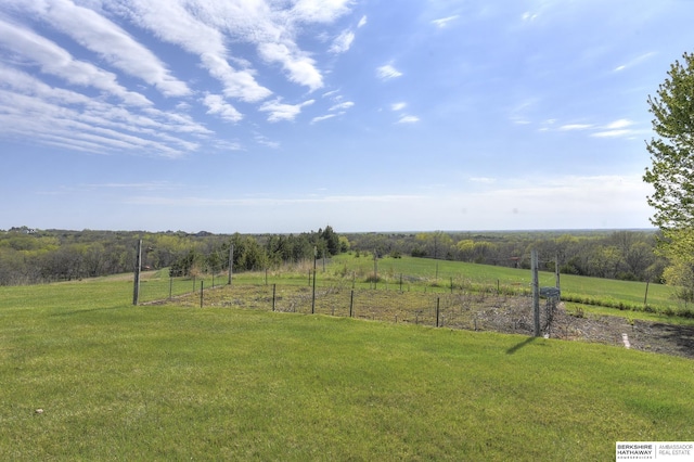 view of yard featuring a rural view