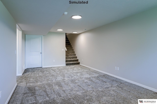 basement featuring carpet flooring