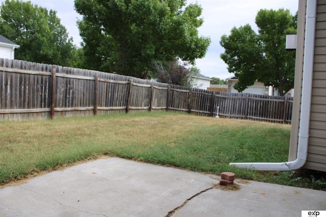 view of yard featuring a patio area