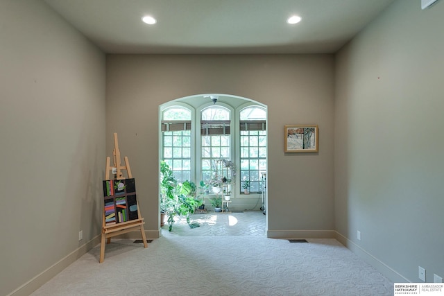 interior space with light carpet