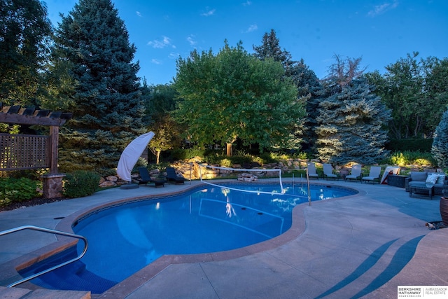 view of swimming pool with a patio area