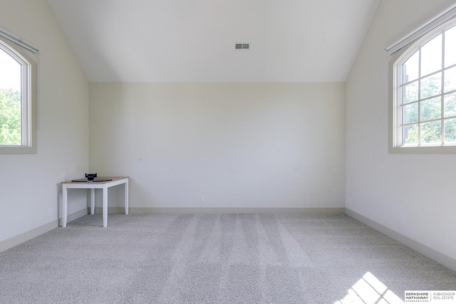 additional living space with carpet floors, a wealth of natural light, and lofted ceiling