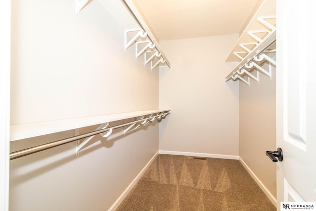 walk in closet featuring carpet flooring