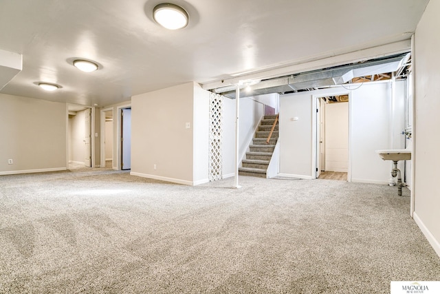 basement with carpet