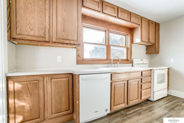 kitchen with light hardwood / wood-style flooring, white appliances, and sink