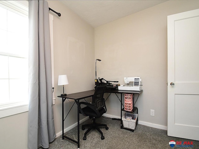 view of carpeted home office