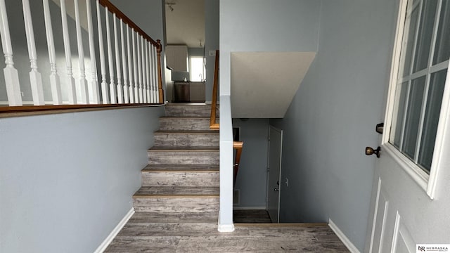 stairway featuring wood-type flooring