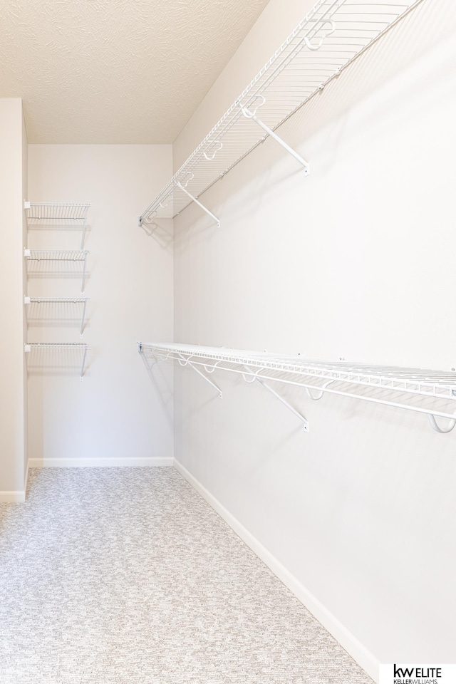 walk in closet with carpet floors