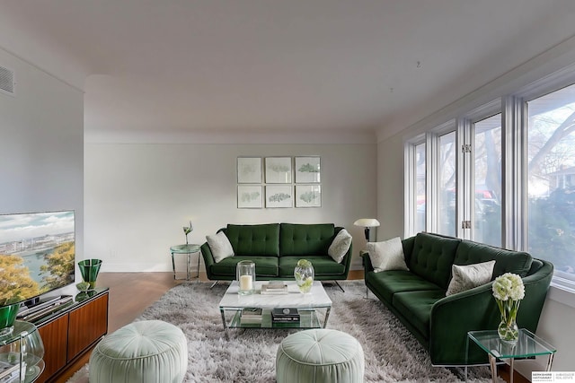 living room featuring hardwood / wood-style flooring