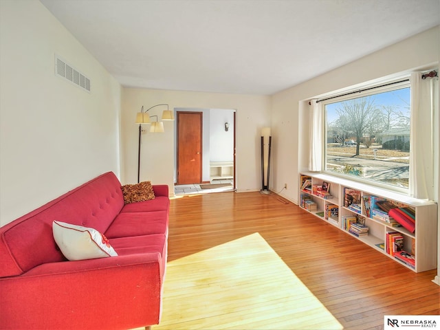 living room featuring wood-type flooring