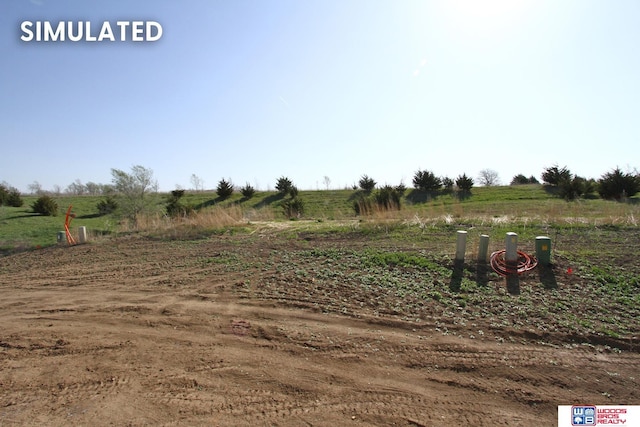 view of yard featuring a rural view